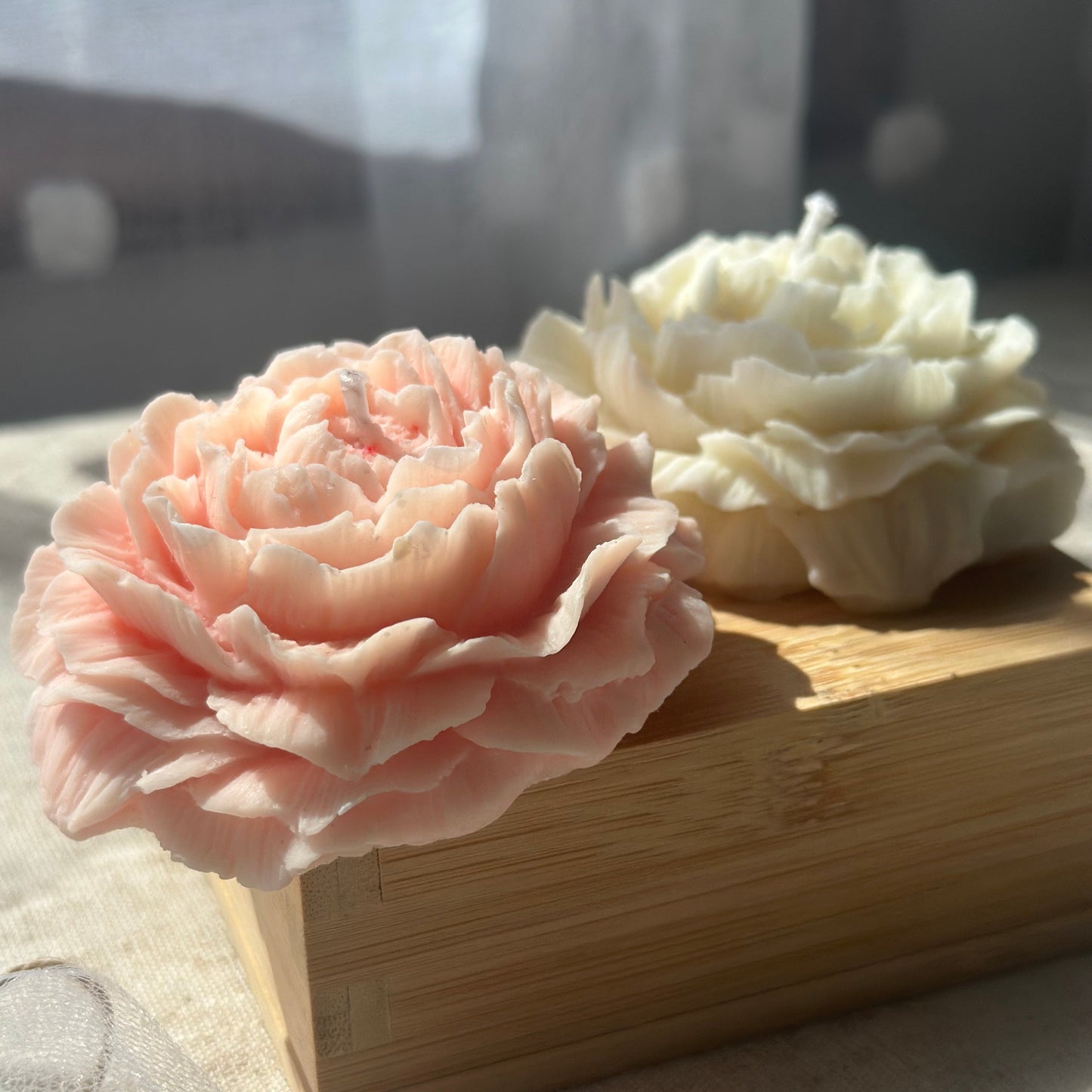 Flores de peonías aromáticas