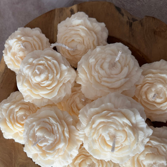 Flores de peonías aromáticas